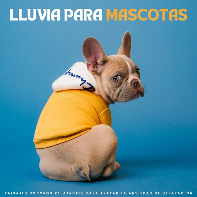 Lluvia Para Mascotas: Paisajes Sonoros Relajantes Para Tratar La Ansiedad De Separación - Agua Mantra