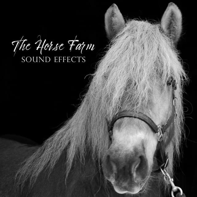 The Horse Farm Sound Effects - Asha Age