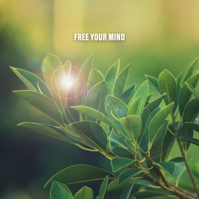 Free Your Mind - Deep Sleep
