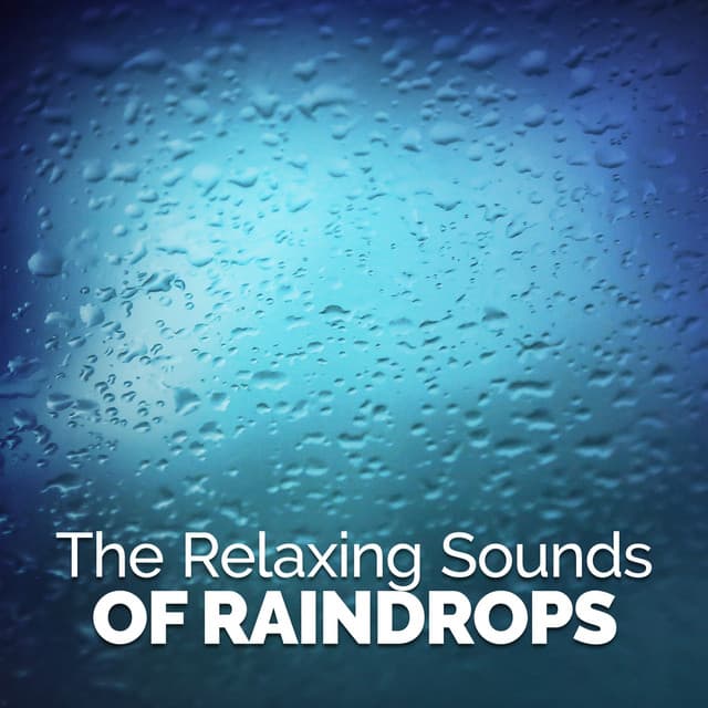 The Relaxing Sounds of Raindrops - The Relaxing Sounds of Water