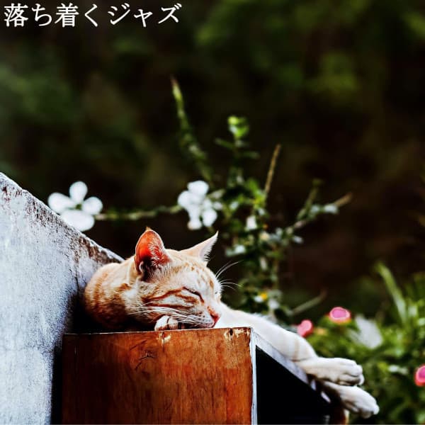 落ち着くジャズ - Relax Chillout Lounge