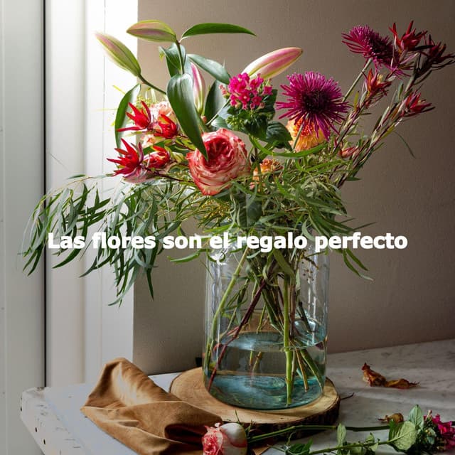 Las flores son el regalo perfecto - Mellow Sunday Morning Music