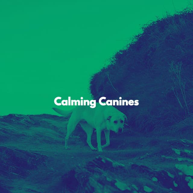 Calming Canines - Easy Jazz Listening