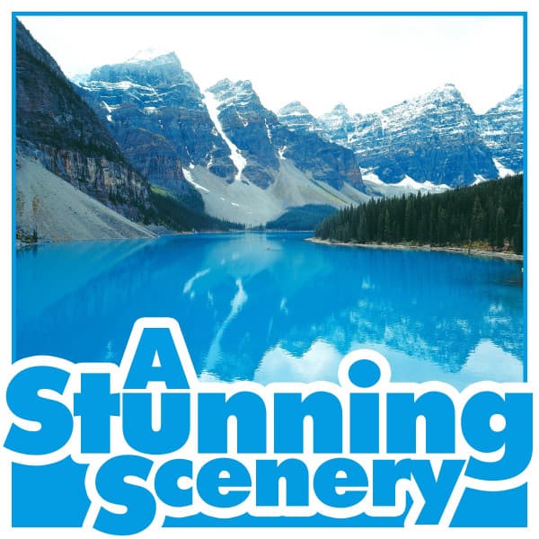 A Stunning Scenery - Life Sounds Nature