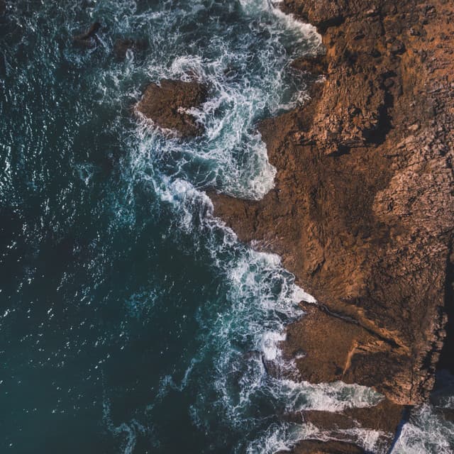 Harmonic Hail: Chill Music Ocean Office - Discipline Vibes