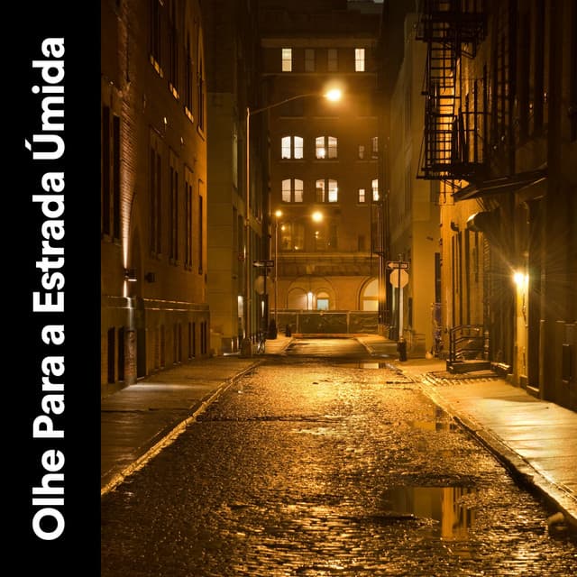 Olhe para a Estrada Úmida - Barulho de Chuva Forte