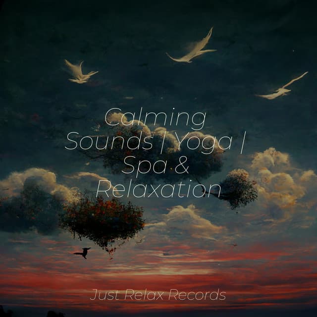 Calming Sounds | Yoga | Spa & Relaxation - Calming Sounds