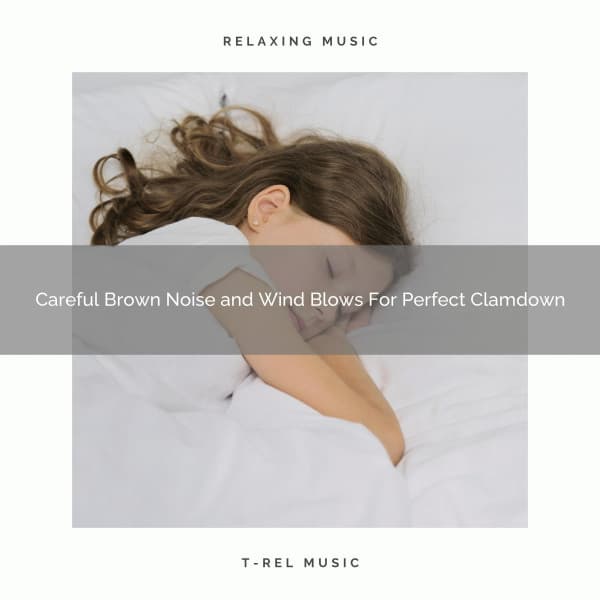Careful Brown Noise and Wind Blows For Perfect Clamdown - Dreamy White Noise