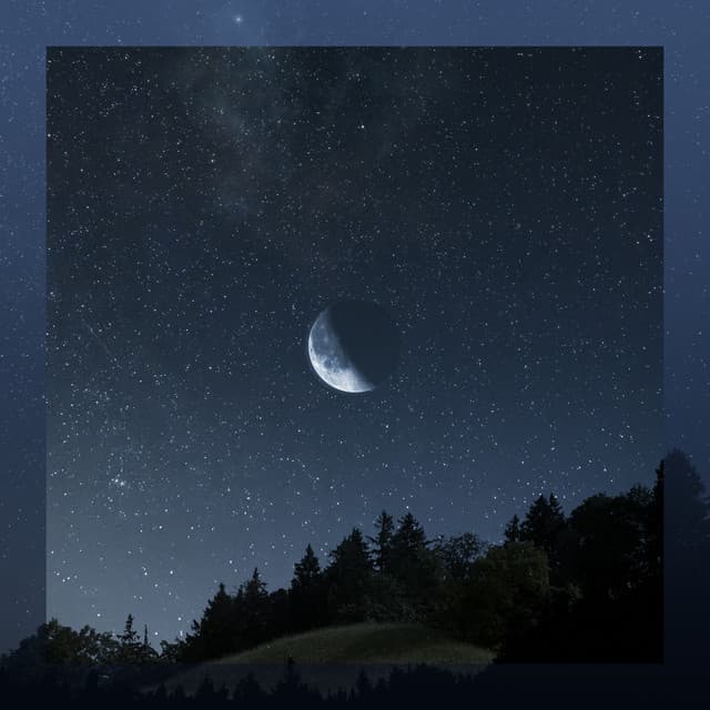 The Best Sleep Noises - Dream Supplier