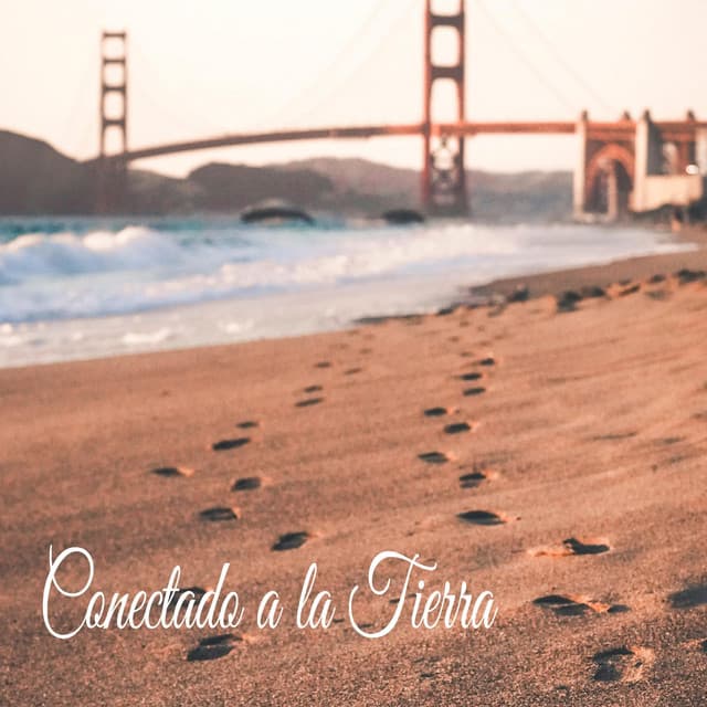 Conectado a la Tierra - Ruido Del Sueño