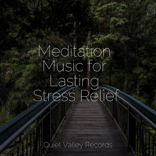Meditation Music for Lasting Stress Relief - Natural Samples