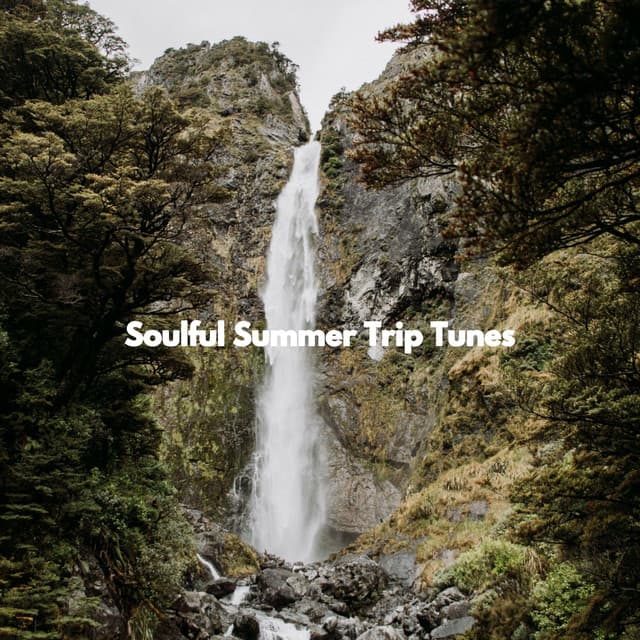 Soulful Summer Trip Tunes - Quebec Jazz Lounge