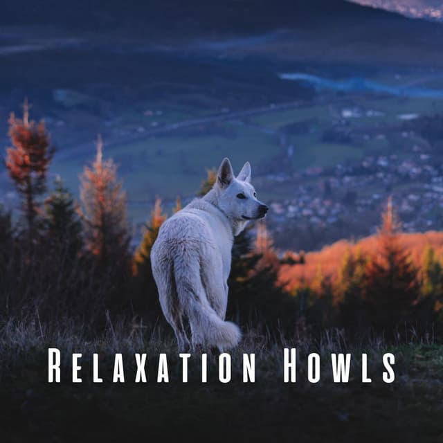 Relaxation Howls: Wolf & Nature's Symphony ASMR - ASMR LIFE