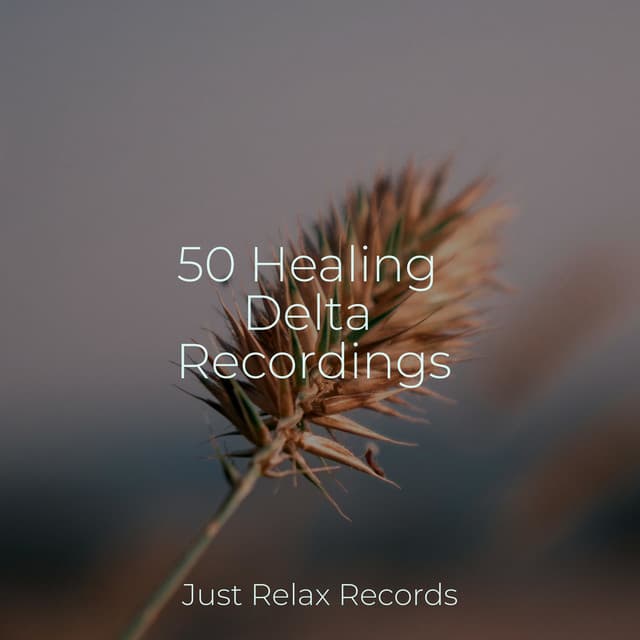 50 Healing Delta Recordings - Thunderstorm Sound Bank