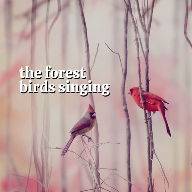 The Forest Birds Singing - Rivers and Streams
