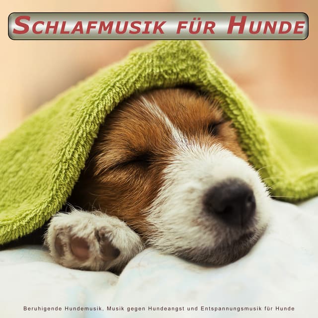 Schlafmusik für Hunde: Beruhigende Hundemusik, Musik gegen Hundeangst und Entspannungsmusik für Hunde - Beruhigende Musik für Hunde