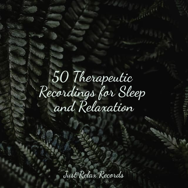 50 Therapeutic Recordings for Sleep and Relaxation - Guided Meditation