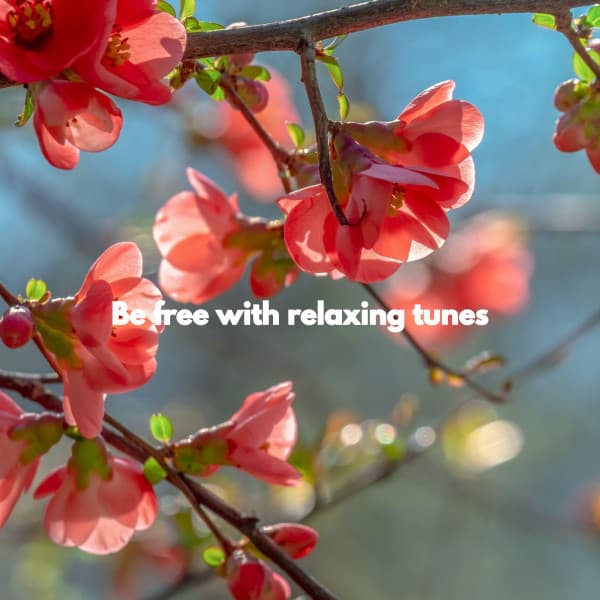 Be free with relaxing tunes - Chill Out Jazz Radio