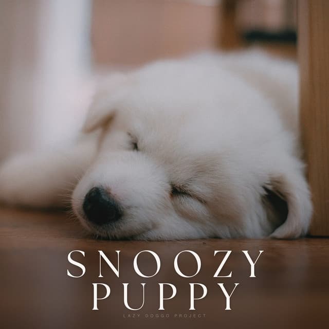 Snoozy Puppy - Official Pet Care Collection