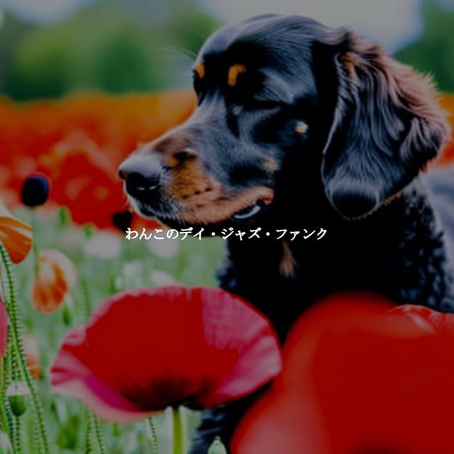 わんこのデイ・ジャズ・ファンク - Frühstück Jazz