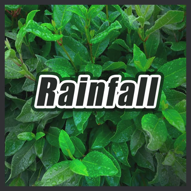 Rainfall - Rain Sounds Sleep