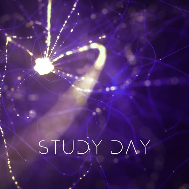 Study Day: Calm Sounds for Better Focus - Brain Power Academy