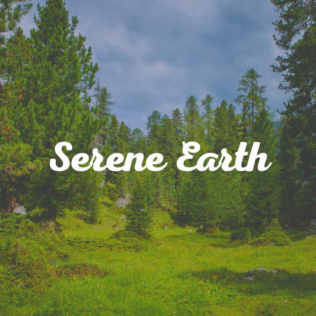 Serene Earth - Sounds of Nature Noise