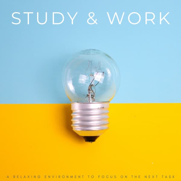 Study & Work: A Relaxing Environment To Focus On The Next Task - Co-Working Music Playlist