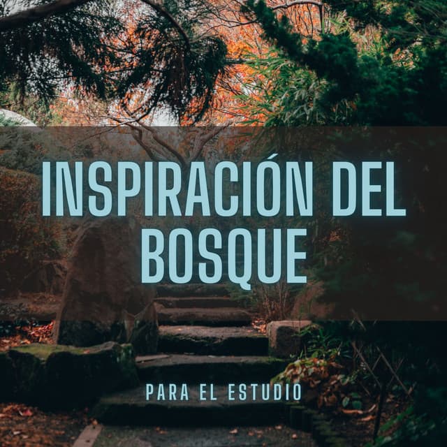 Inspiración Del Bosque Para El Estudio - Tonos de estudio Binaural