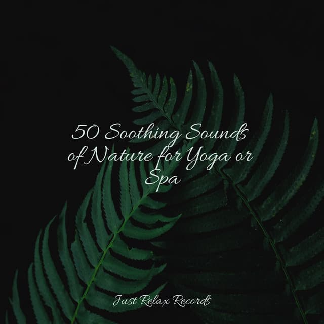 50 Soothing Sounds of Nature for Yoga or Spa - Sleep Music Lullabies