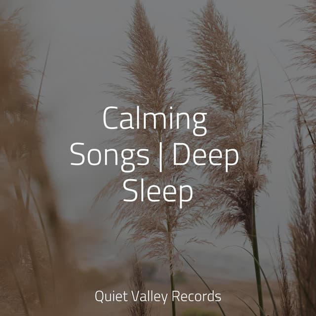 Calming Songs | Deep Sleep - Naturaleza Sonidos