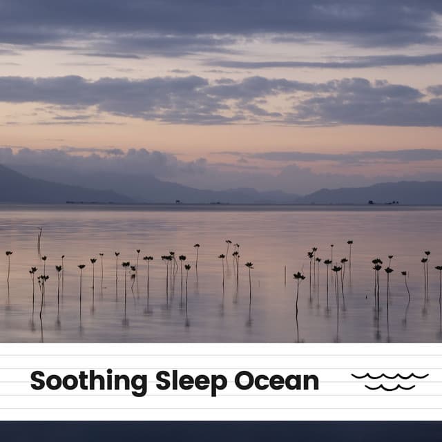 Soothing Sleep Ocean - Water Science