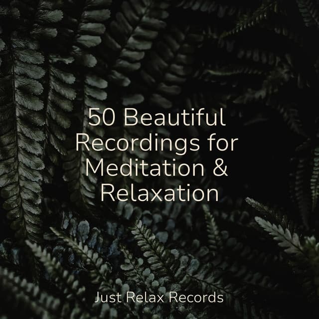 50 Beautiful Recordings for Meditation & Relaxation - Lounge relax