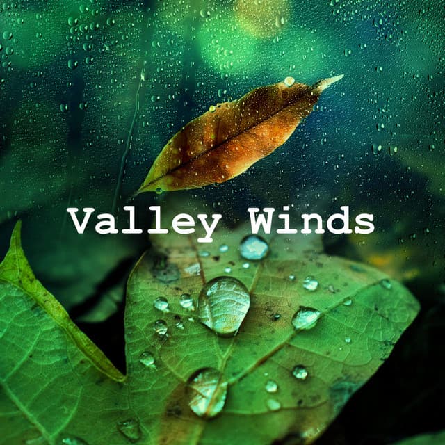 Valley Winds - Essential Nature Sounds