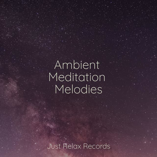 Ambient Meditation Melodies - Shakuhachi Sakano