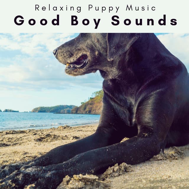 2 0 2 3 Good Boy Sounds - Relaxing Puppy Music