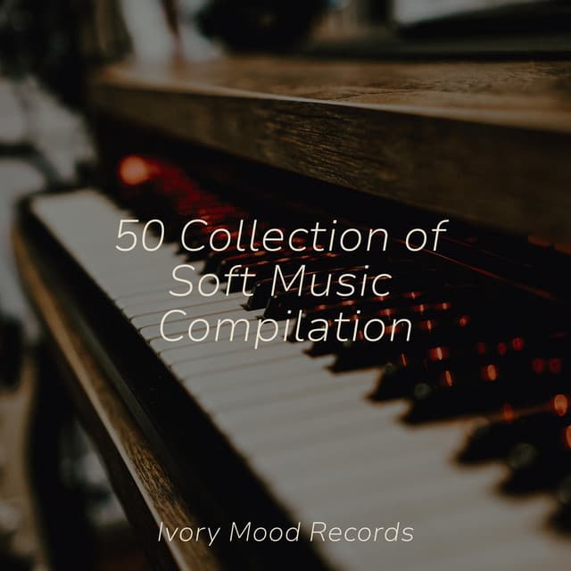 50 Collection of Soft Music Compilation - Ivory Mood