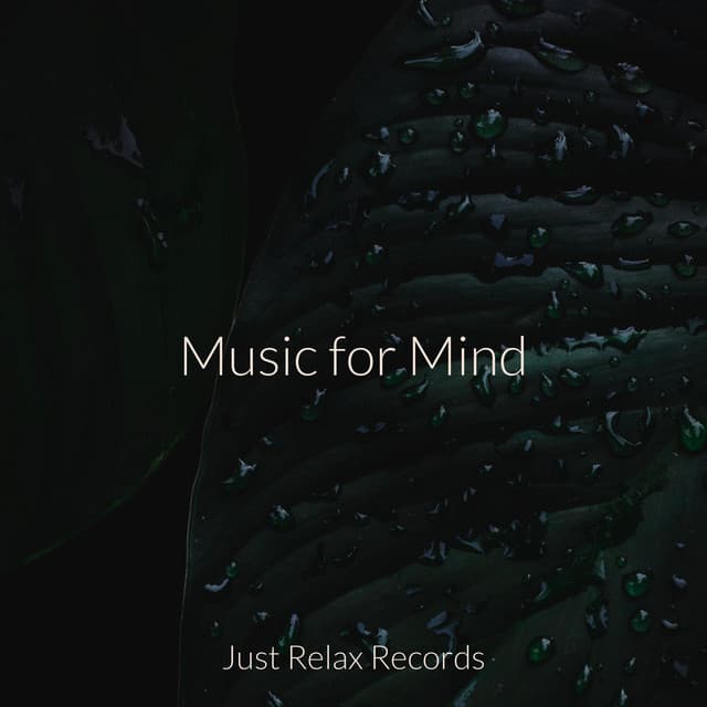 Music for Mind - Musica para Meditar