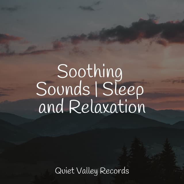 Soothing Sounds | Sleep and Relaxation - Rainy Sounds