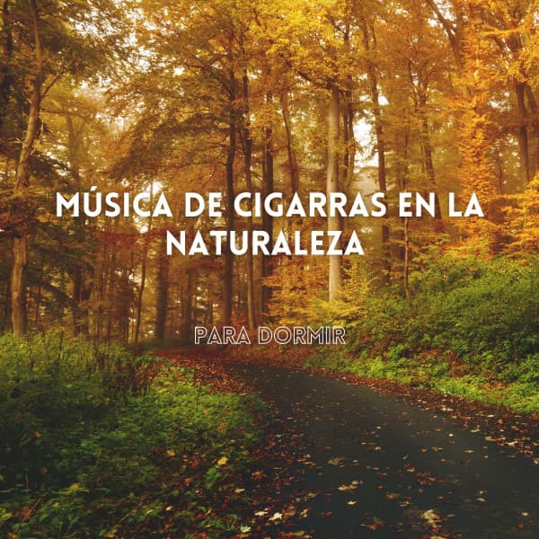 Música de Estudio Relajante