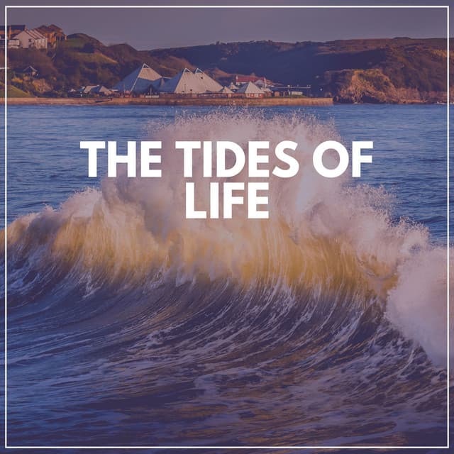 The Tides of Life - Coastal Sounds