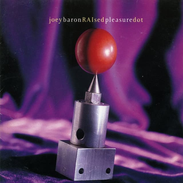 Joey Baron - Raised Pleasure Dot - Joey Baron