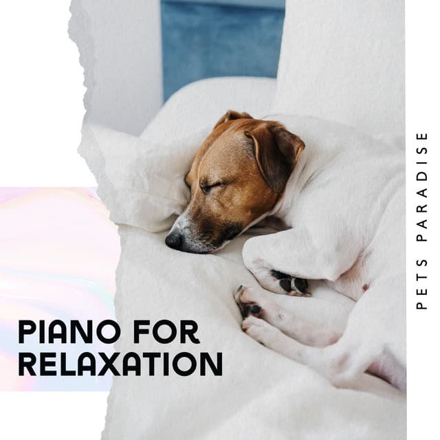 Piano for Relaxation: Pets Paradise - Pet Relax Academy