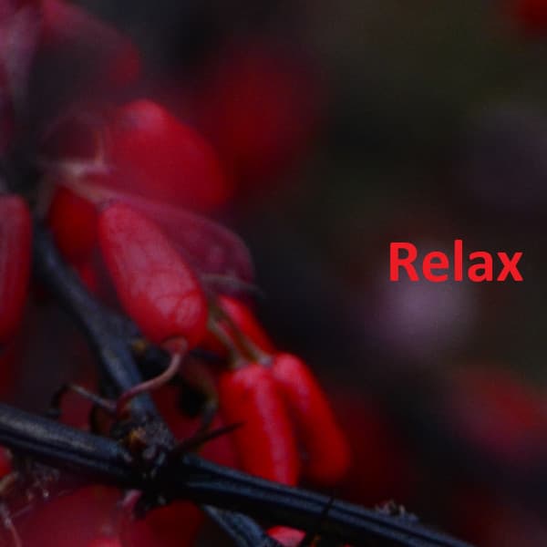 Relax - AMBIENT RADIO