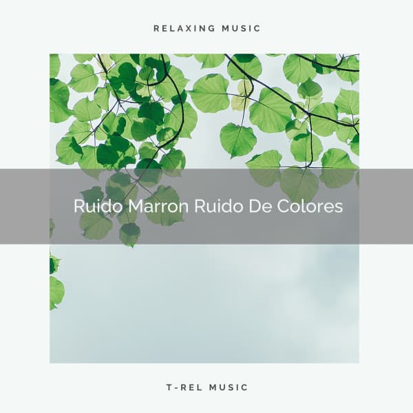 Ruido Marron Ruido De Colores - Ruido De Colores
