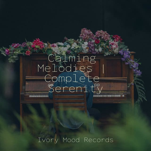 Calming Melodies | Complete Serenity - Instrumental Piano Universe