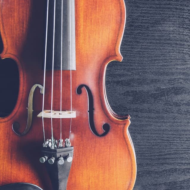 Orchestra of Night: Music for Sleep - Jose Garcia