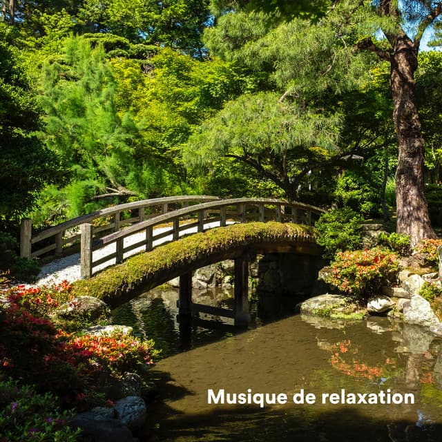 Musique de relaxation - Musique Relaxante 101