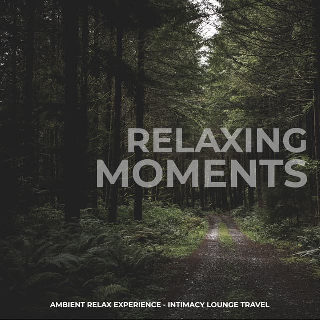 Intimacy Lounge Travel