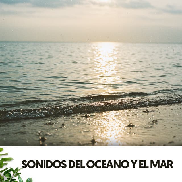 Sonidos del Oceano y el Mar: Cuna de Sueños - Ocean Sounds Plus